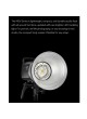 Godox MS300V 220V 300Watt ED Studio Flash strobes Light weight Compact Bowens Mount